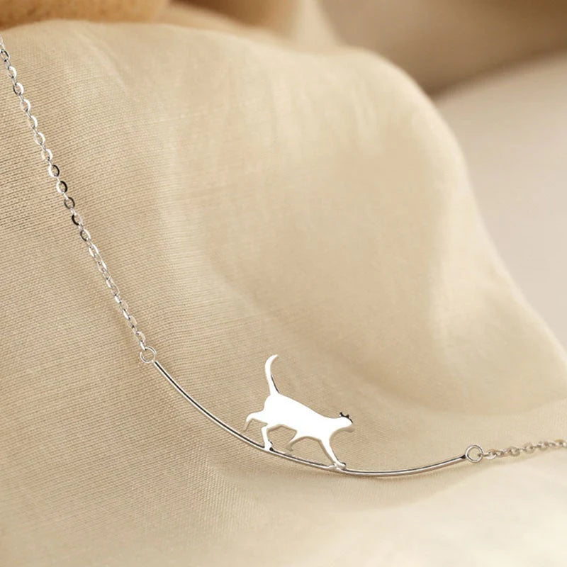 Collar Gato